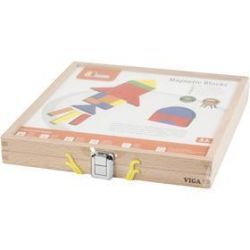 VIGA Magnetic Activity Set