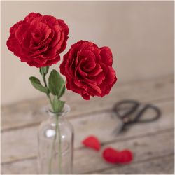 Mini Craft Kit Crepe Paper