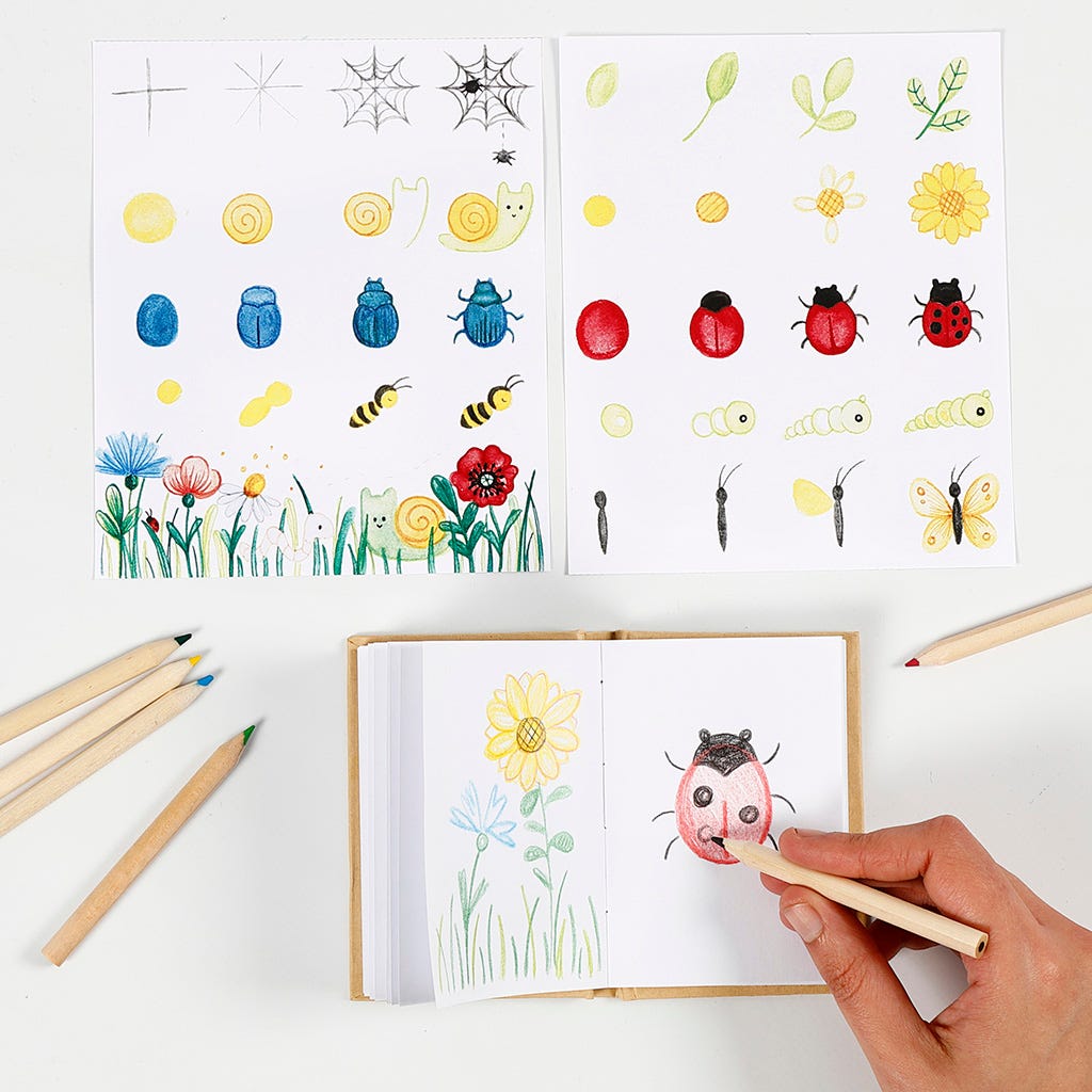 Learn how to draw insects and flowers in a nature book